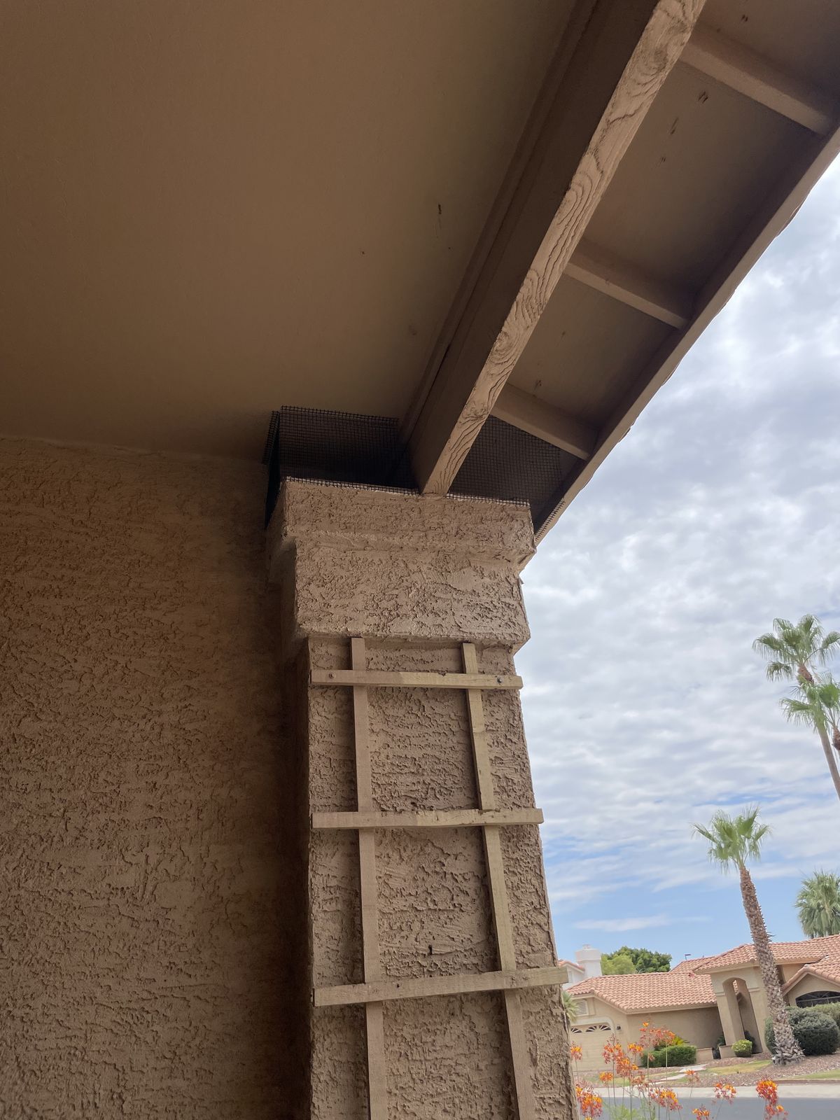 Column Exclusions - photo 6