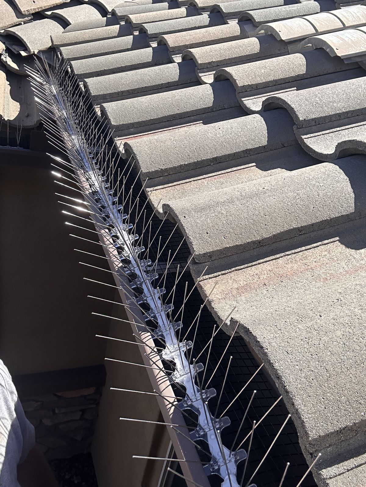 Gutter Exclusions - photo 5