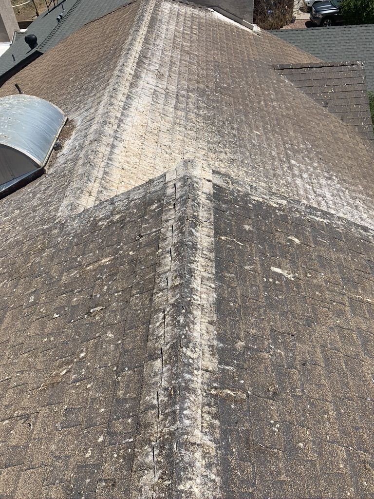 Pigeon Feces Damage - photo 3