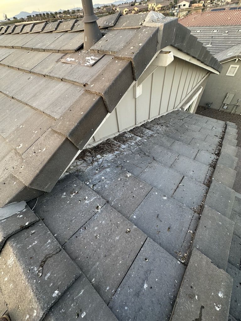 Pigeon Feces Damage - photo 4
