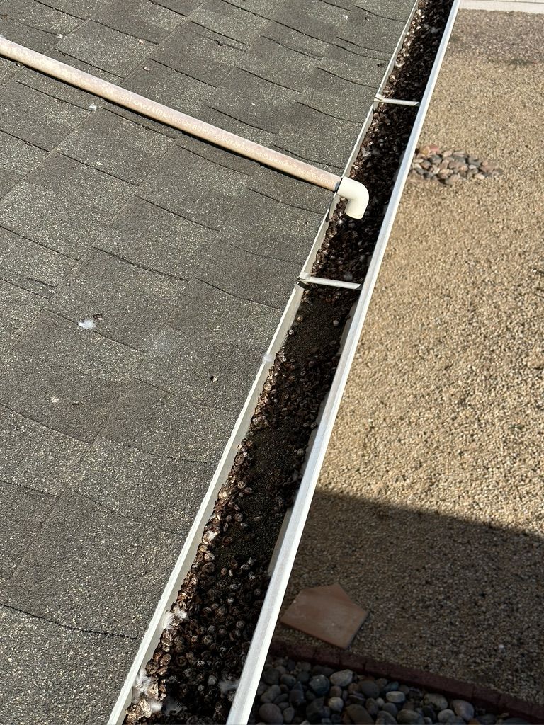 Pigeon Feces Damage - photo 8