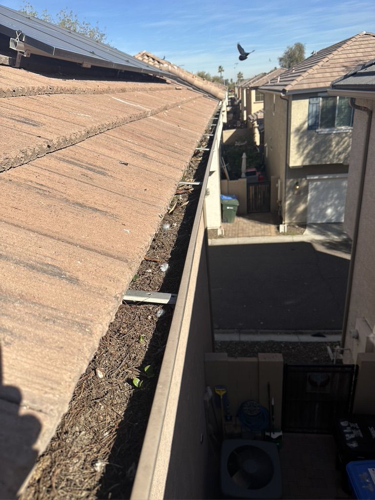 Pigeon Feces Damage - photo 15