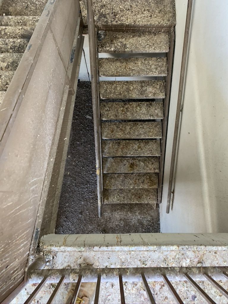 Pigeon Feces Damage - photo 17