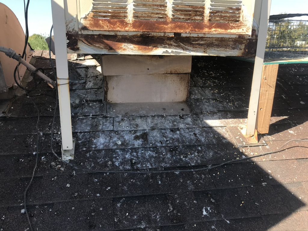 Pigeon Feces Damage - photo 30