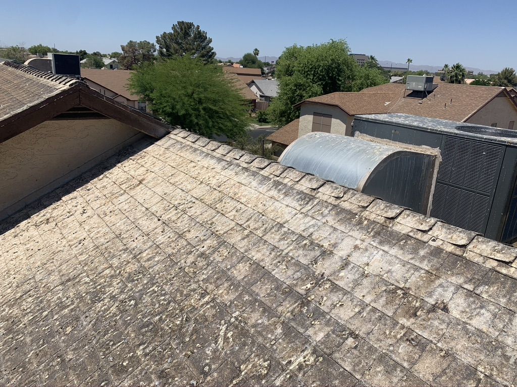 Pigeon Feces Damage - photo 32