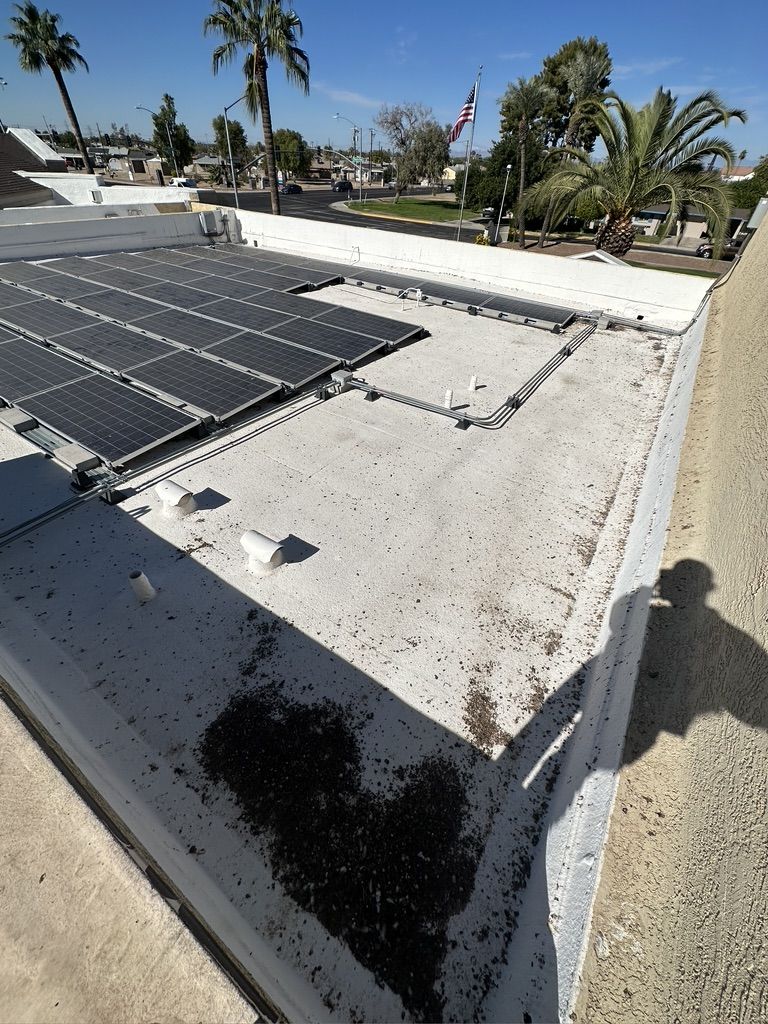 Pigeon Feces Damage - photo 44