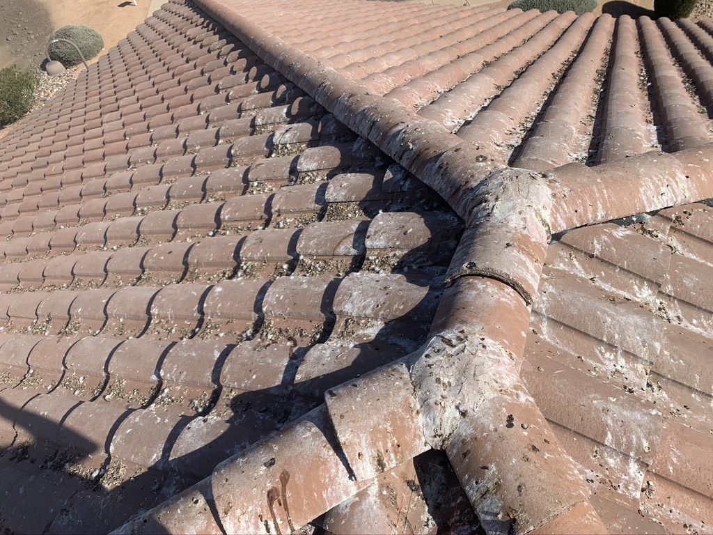 Pigeon Feces Damage - photo 46