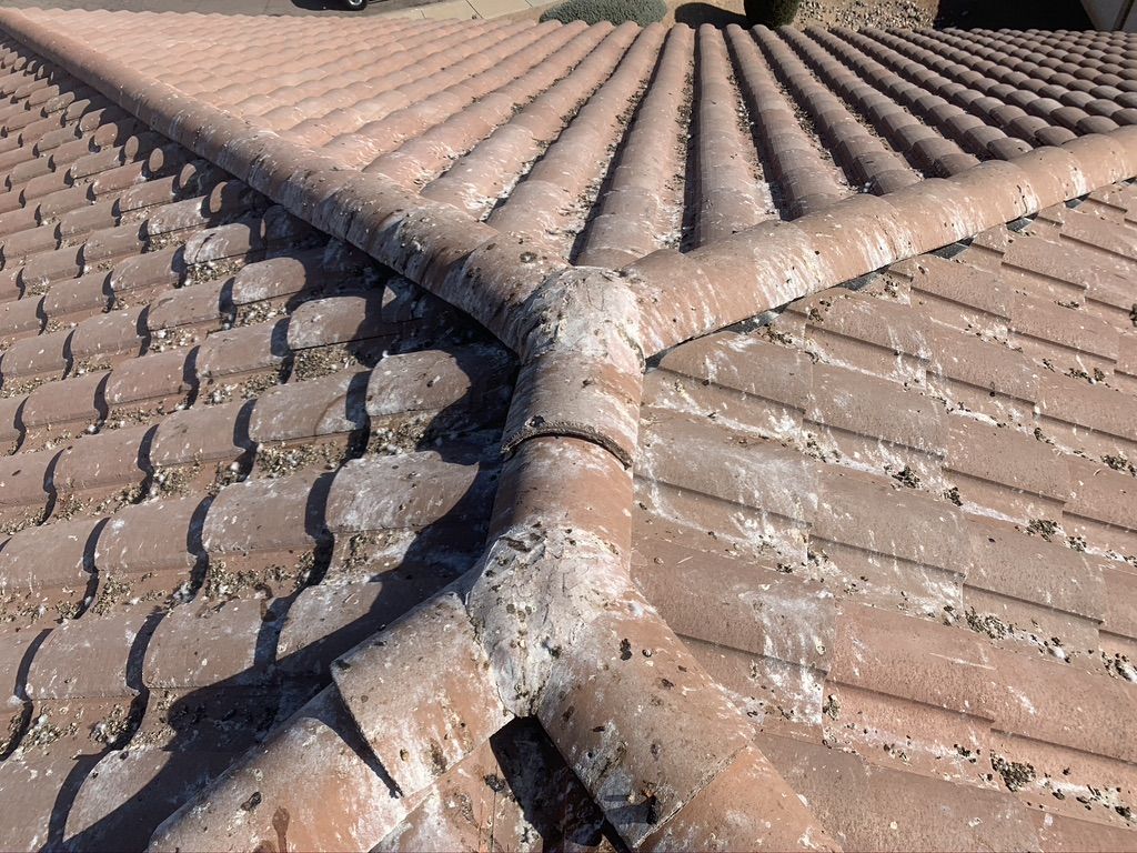 Pigeon Feces Damage - photo 54