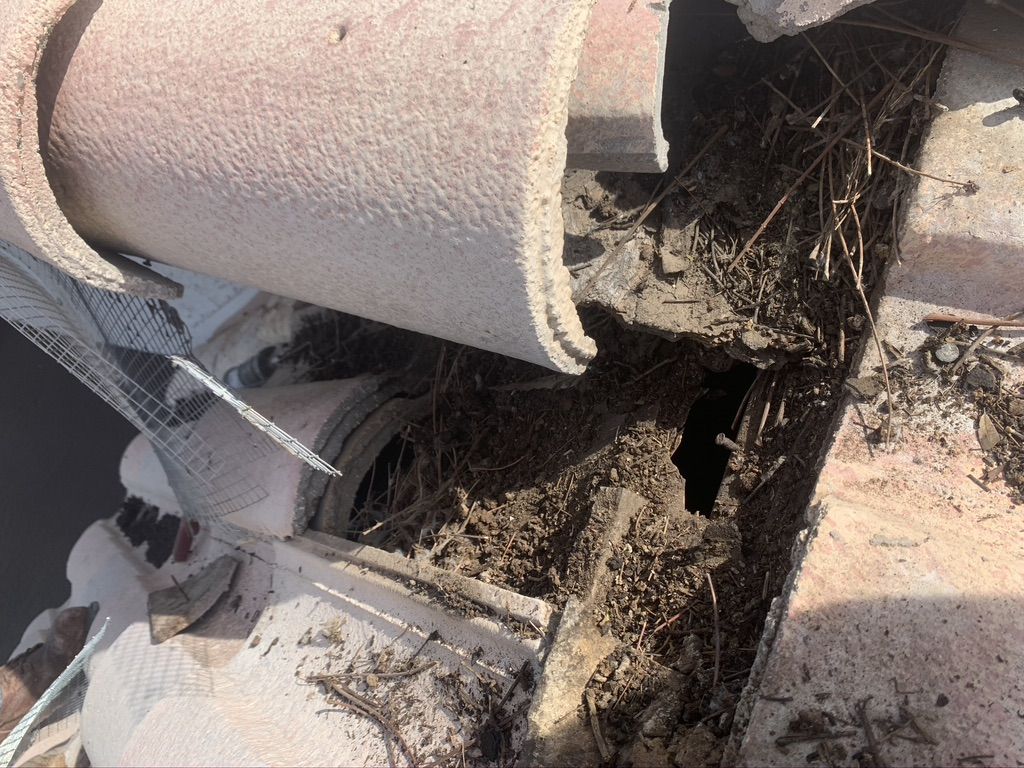 Pigeon Feces Damage - photo 57