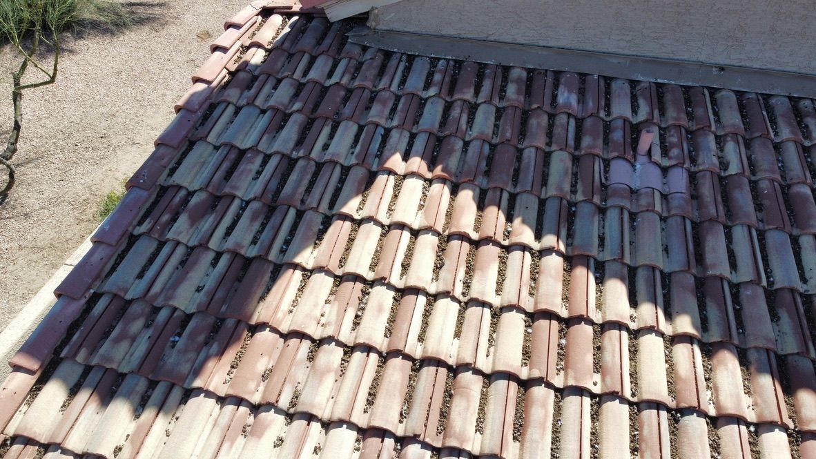 Pigeon Feces Damage - photo 60