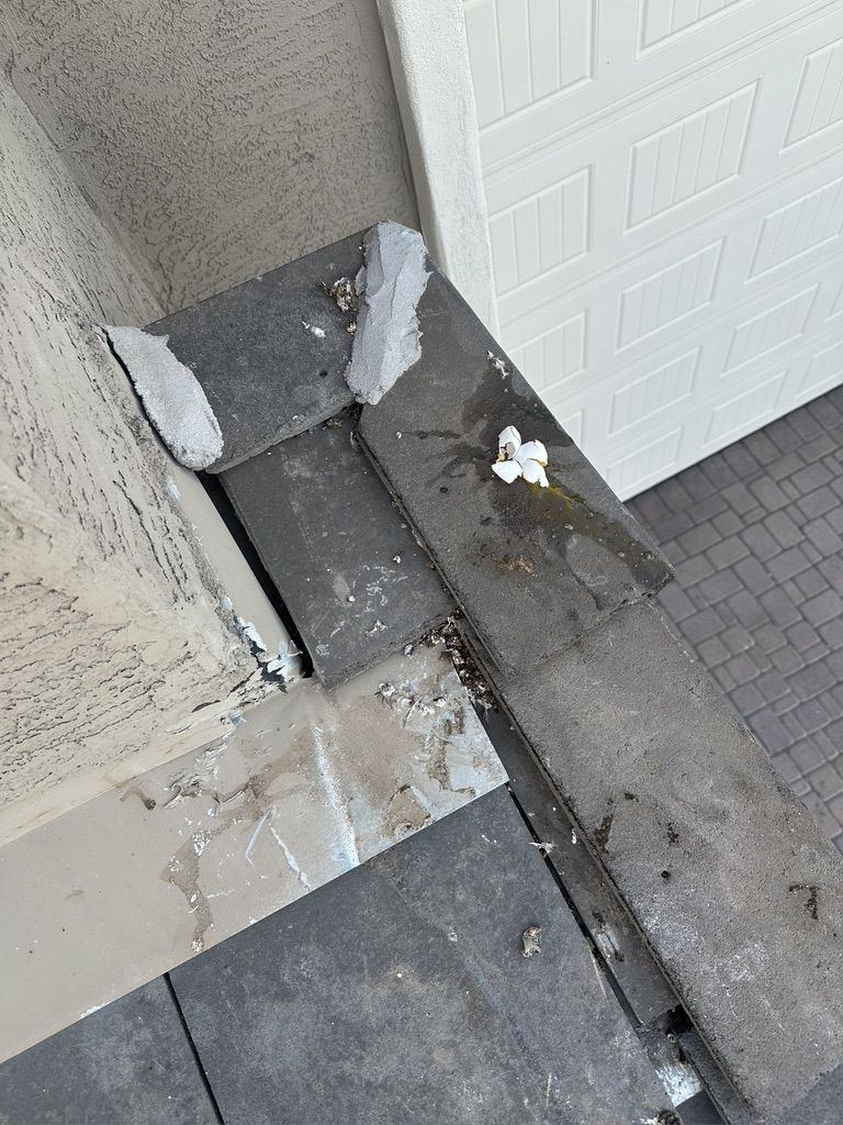 Pigeon Feces Damage - photo 74