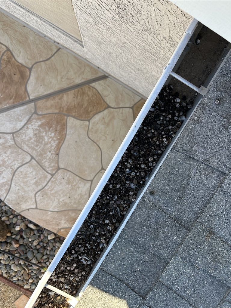 Pigeon Feces Damage - photo 76