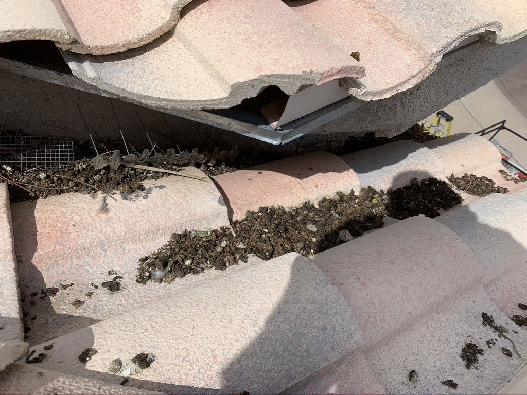Pigeon Feces Damage - photo 77