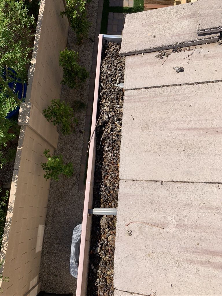 Pigeon Feces Damage - photo 78