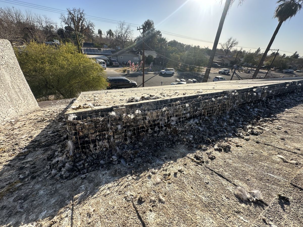 Pigeon Feces Damage - photo 99