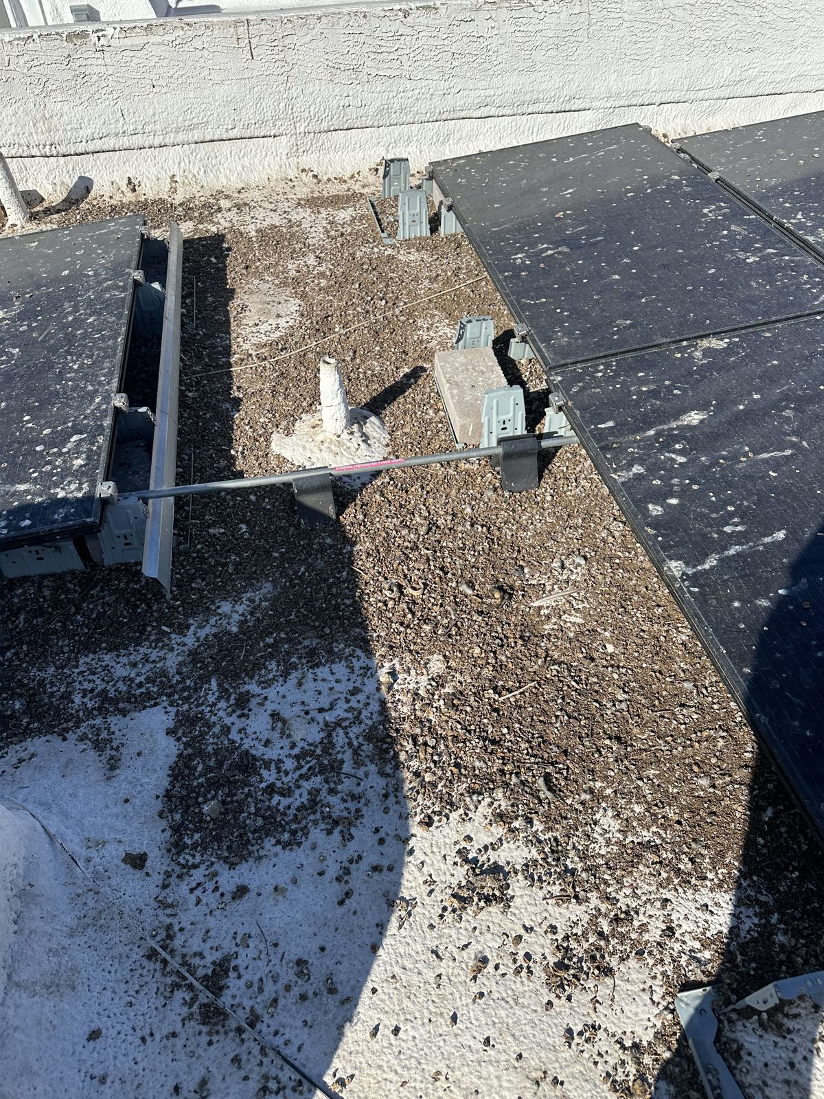 Pigeon Feces Damage - photo 100