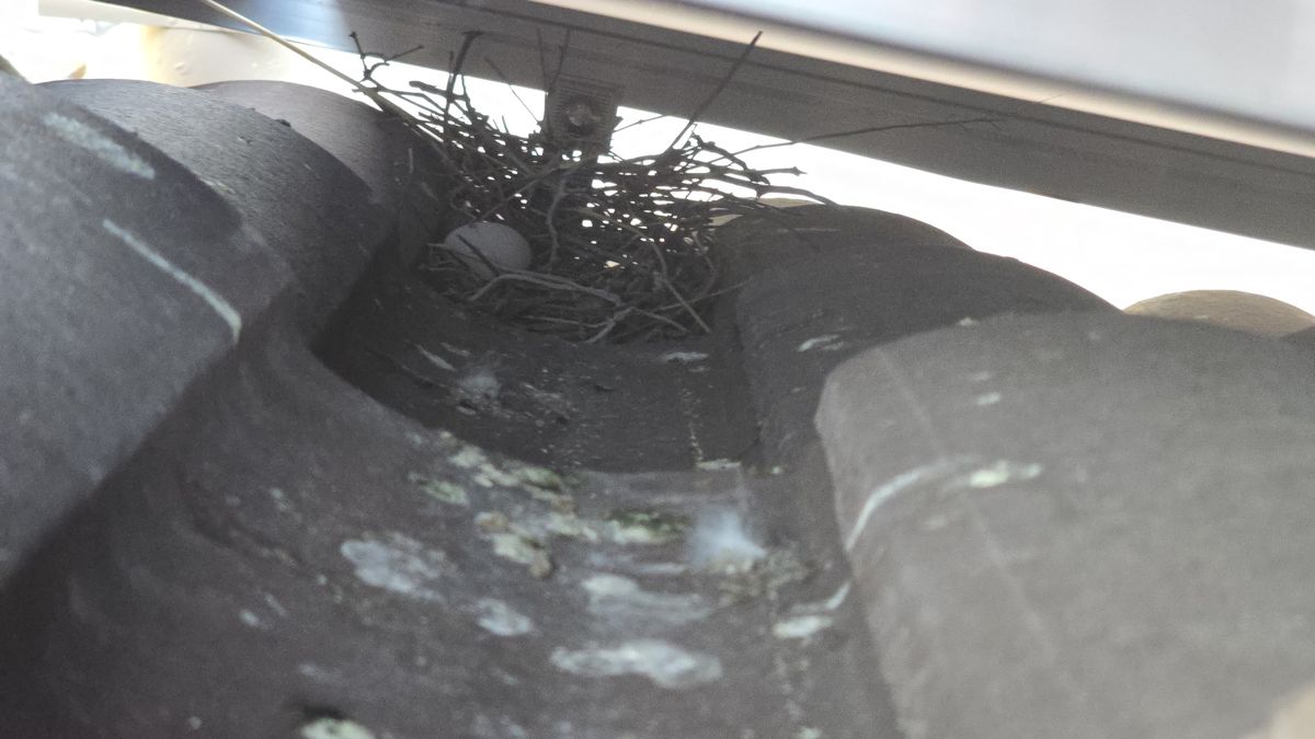 Solar Panel Exclusions - photo 5
