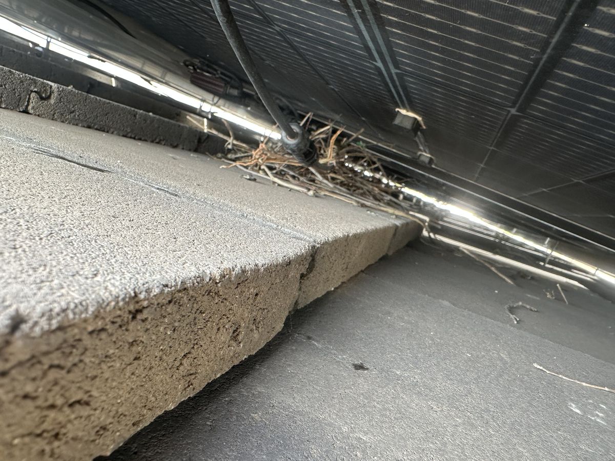 Solar Panel Exclusions - photo 19