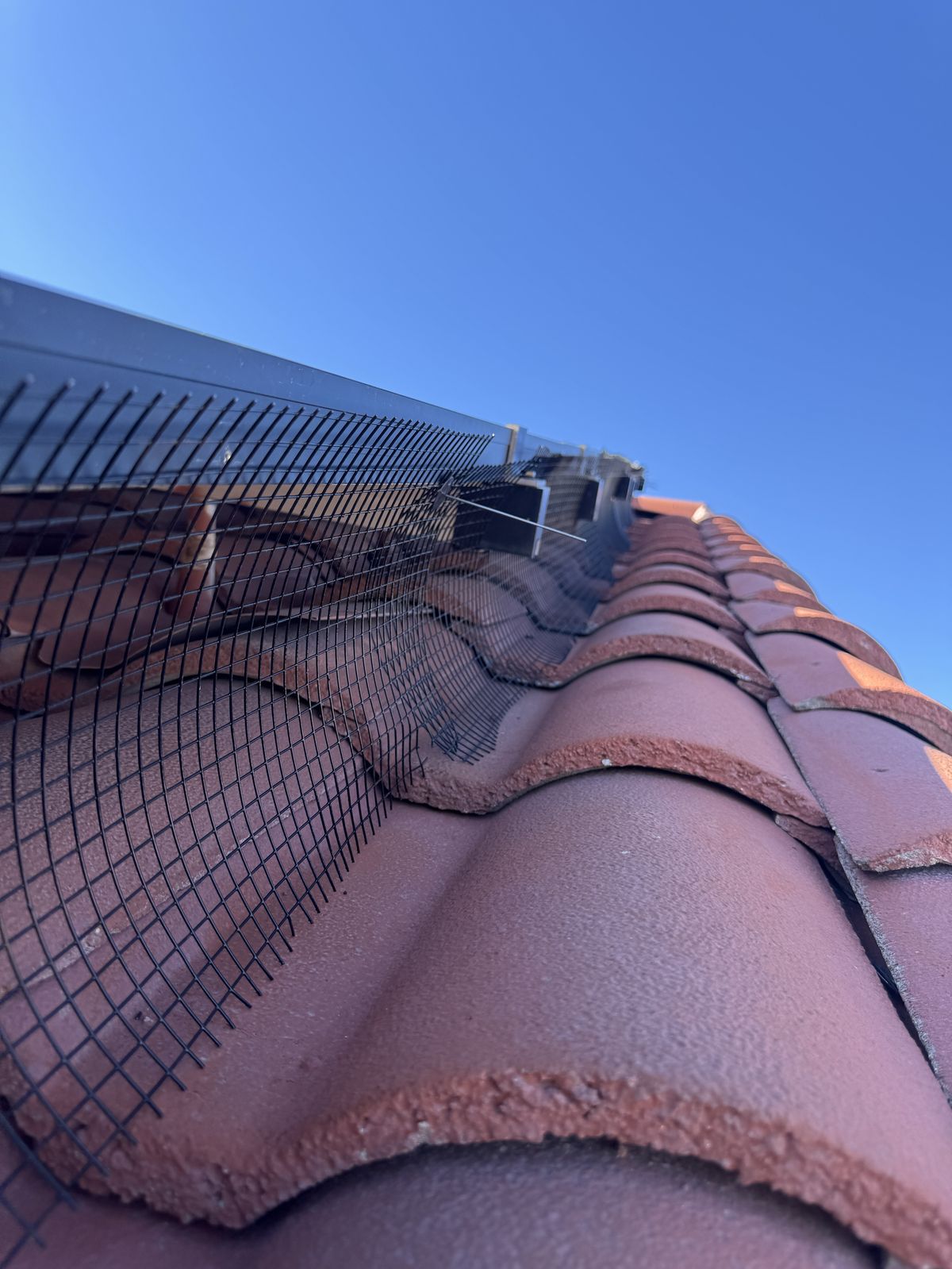 Solar Panel Exclusions - photo 49