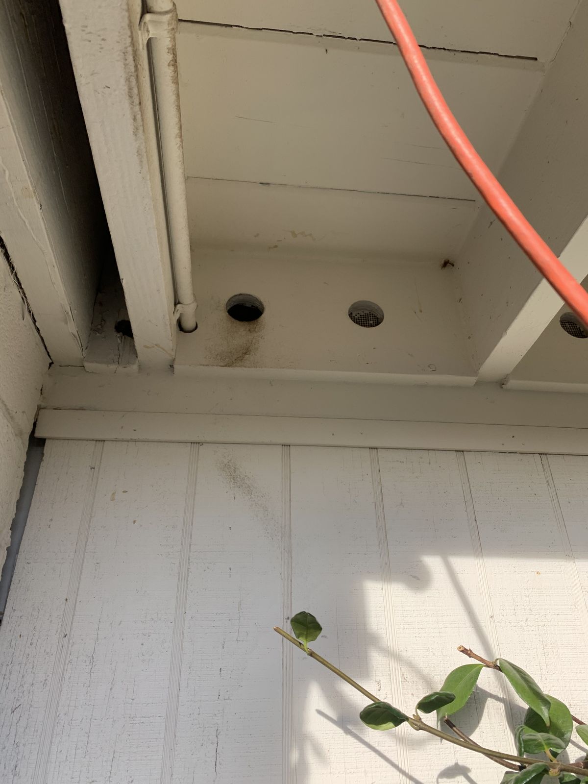 Entrypoints Inspection - photo 007