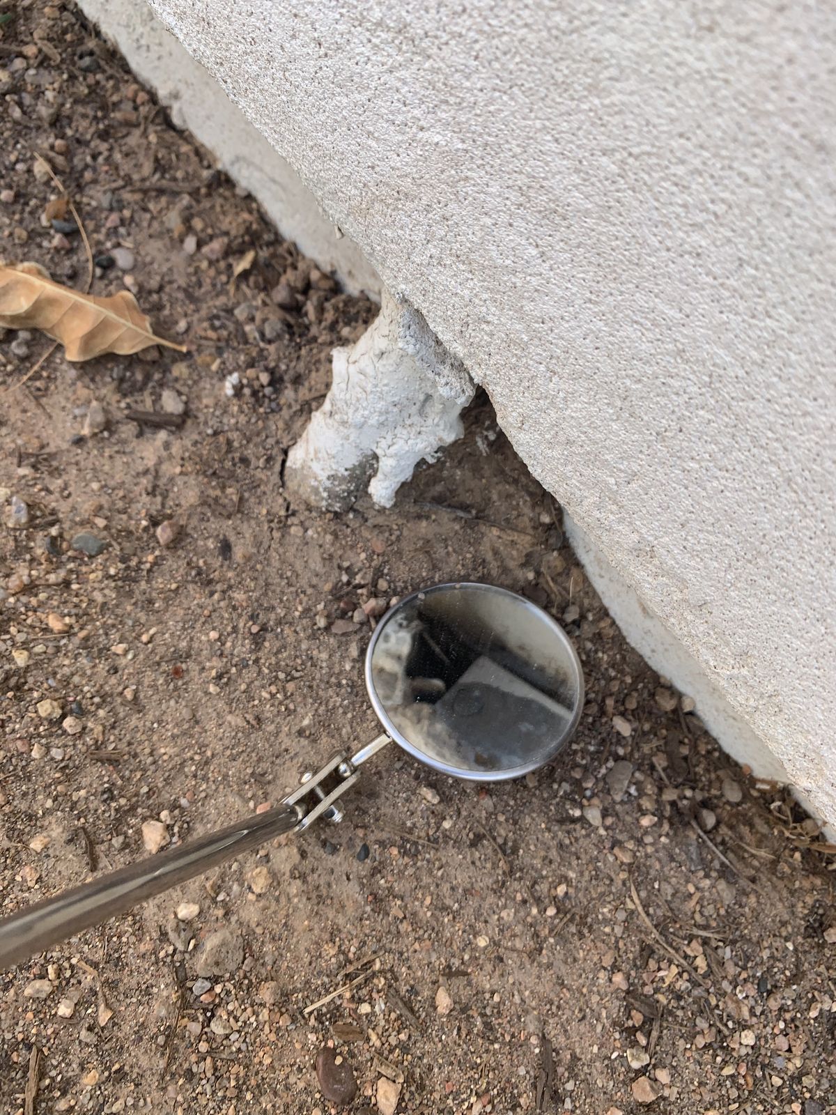 Entrypoints Inspection - photo 009
