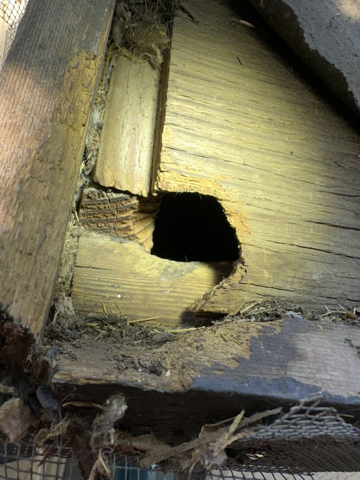 Entrypoints Inspection - photo 019