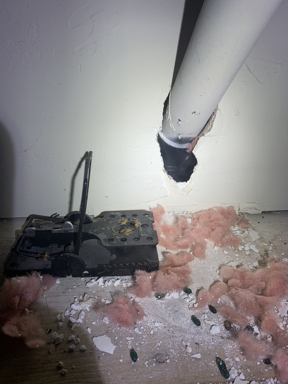 Entrypoints Inspection - photo 020