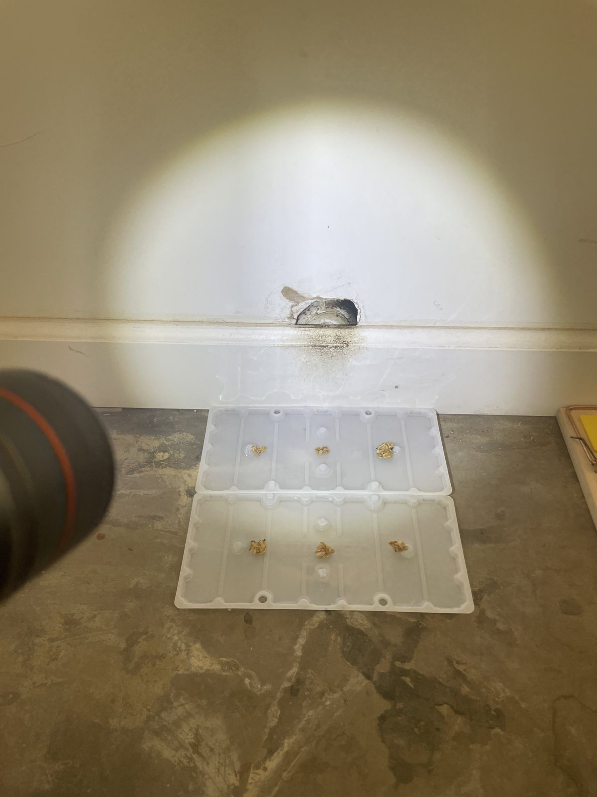 Entrypoints Inspection - photo 032