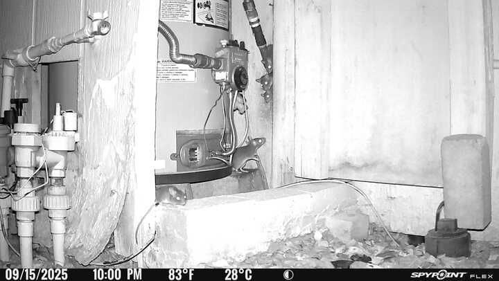 Entrypoints Inspection - photo 072