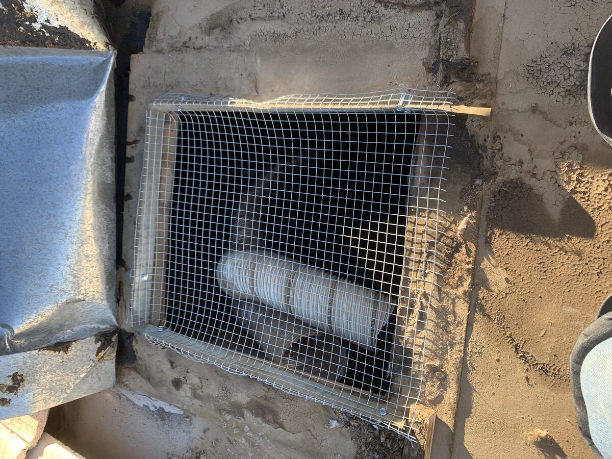 Rodent control photo 6