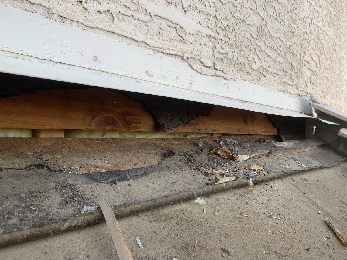 Rodent control photo 8