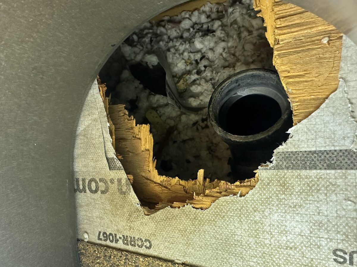 Rodent control photo 10