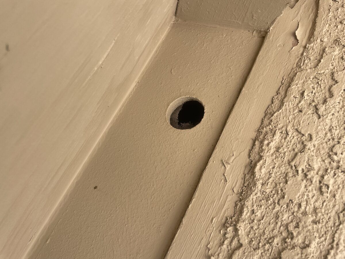 Rodent control photo 11