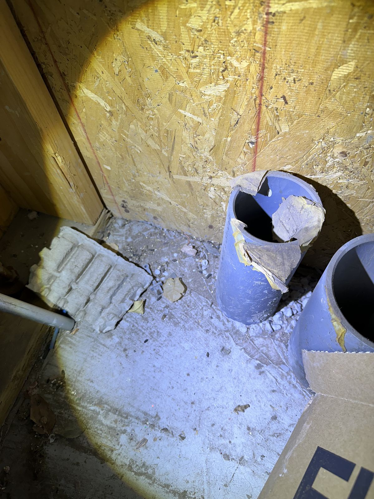 Rodent Infestation Feces - photo 029