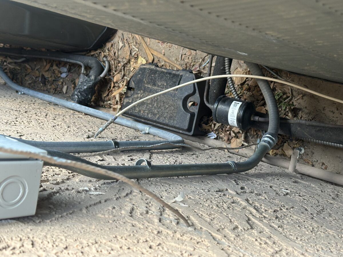 Rodent control photo 15