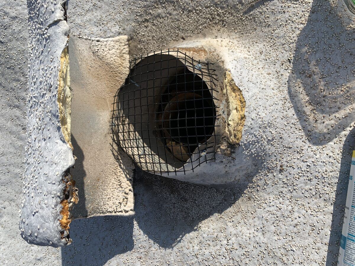 Rodent control photo 17