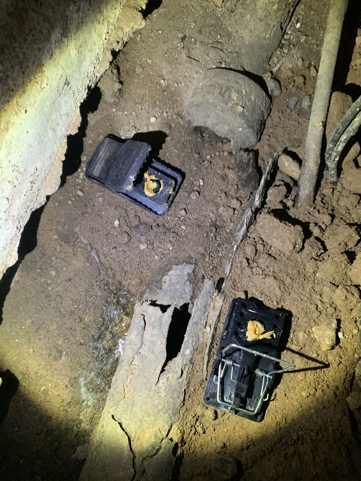 Sewage Entry - photo 015