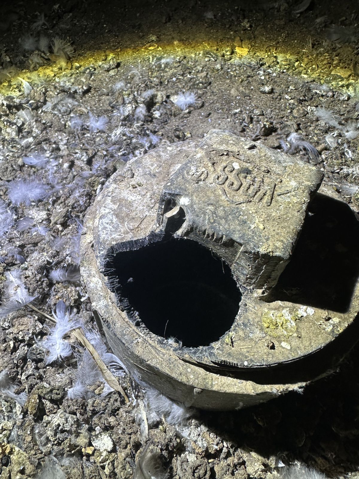 Sewage Entry - photo 024