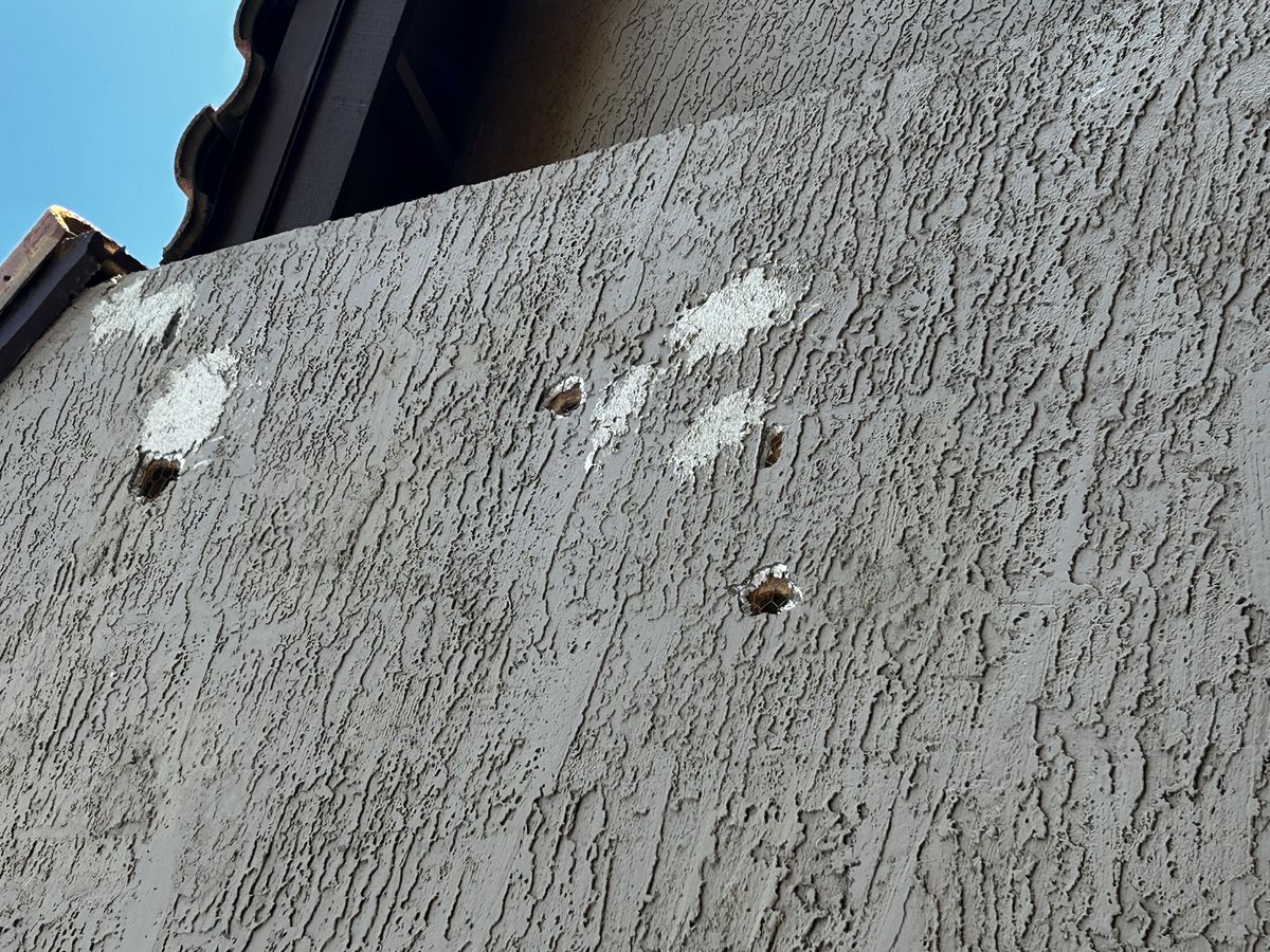 Woodpecker control photo 5