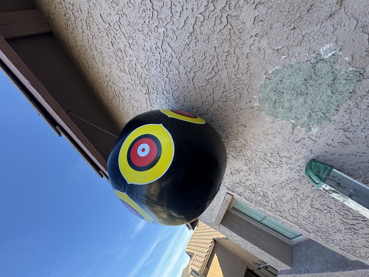 Woodpecker control photo 9